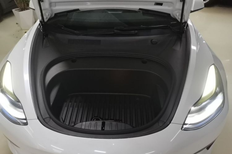 Tesla Model 3 2021 car image #20