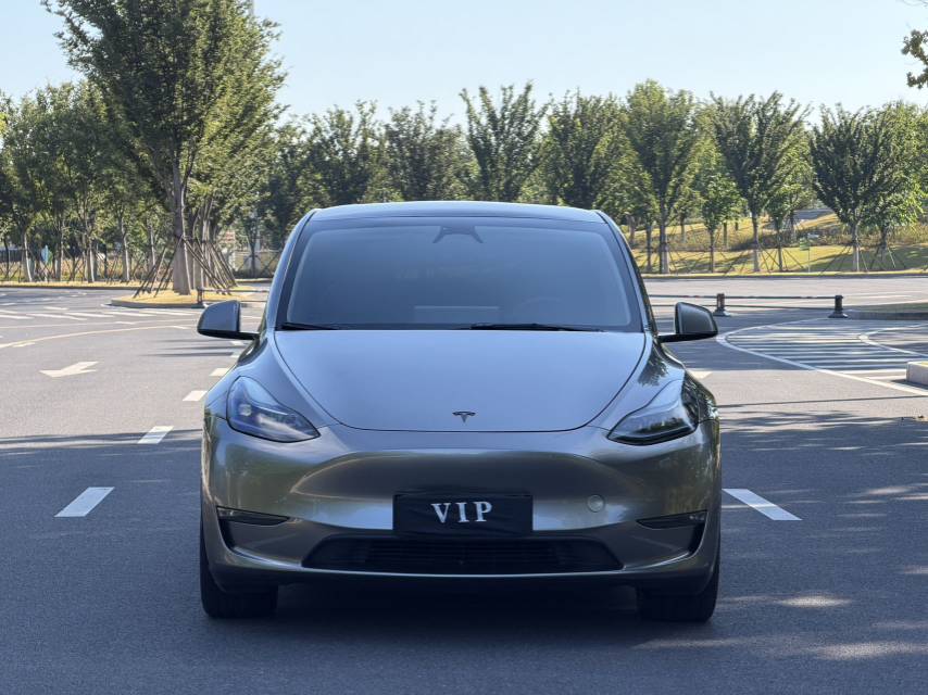 Tesla Model Y 2024 #2 Tesla Model Y 2024 car image #2