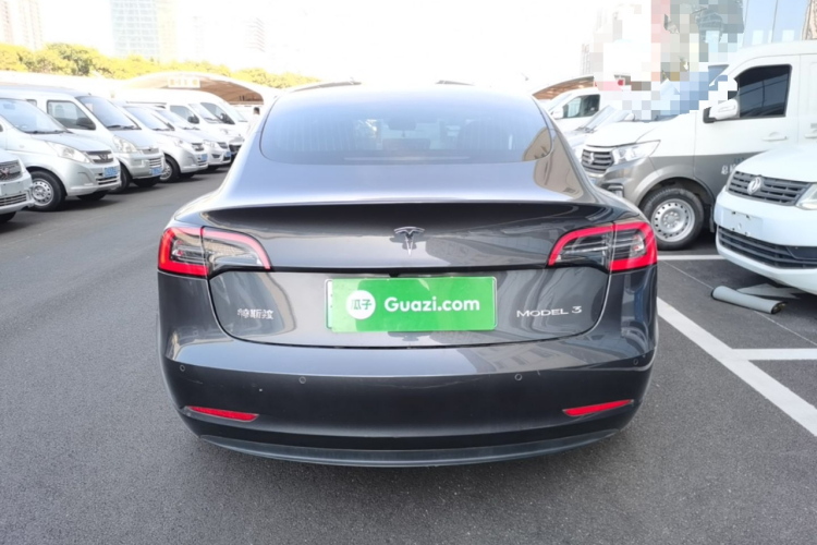 Tesla Model 3 2020 car image #6