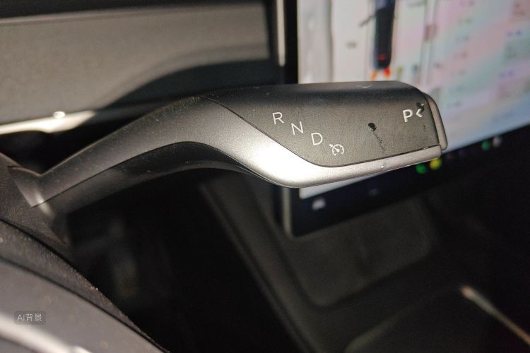 Tesla Model Y 2024 car image #16