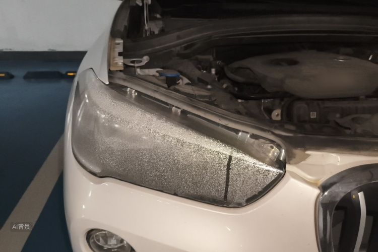 BMW X1 2017 car image #8