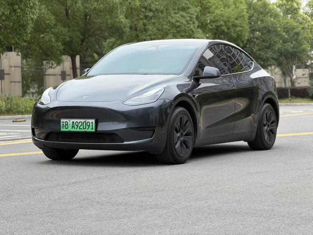 Tesla Model Y 2024 car image #18