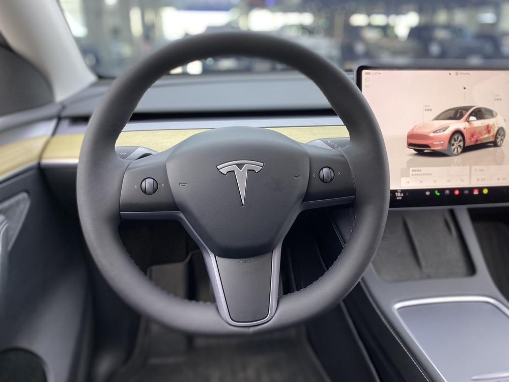 Tesla Model Y 2023 #22 Tesla Model Y 2023 car image #22