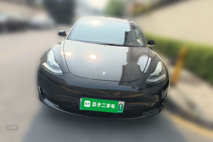 Tesla Model 3 2020 #3 Tesla Model 3 2020 car image #3