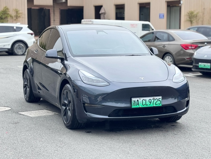 Tesla Model Y 2024 car image #3