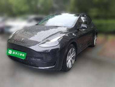 Tesla Model Y 2022 Tesla Model Y 2022 car image