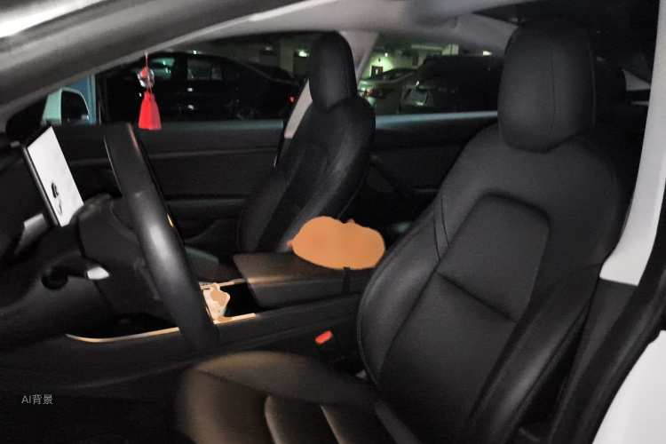 Tesla Model 3 2020 car image #17