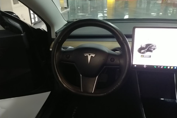 Tesla Model 3 2020 car image #11