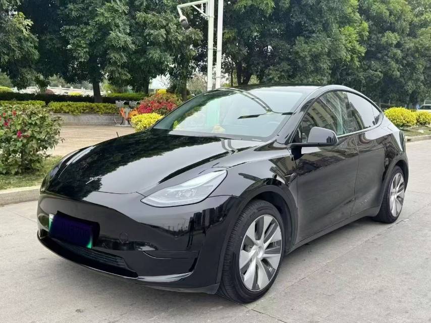 Tesla Model Y 2023 Tesla Model Y 2023 car image