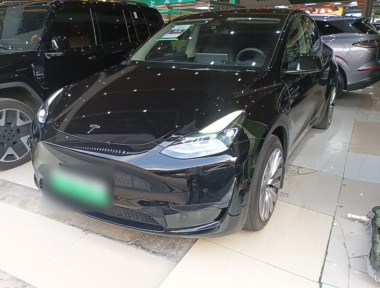 Tesla Model Y 2024 Tesla Model Y 2024 car image