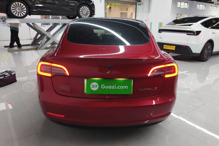 Tesla Model 3 2021 car image #6