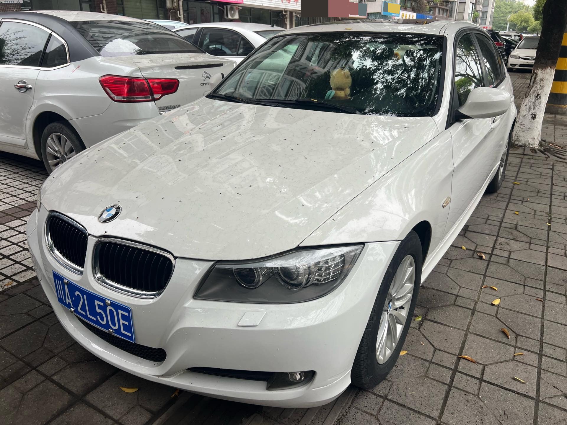 BMW 3 Series 2011 car image 