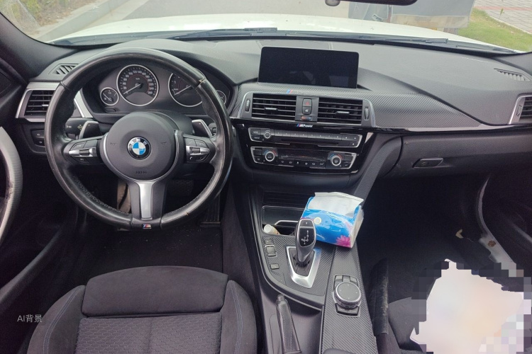 BMW 3 Series 2016 car image #11