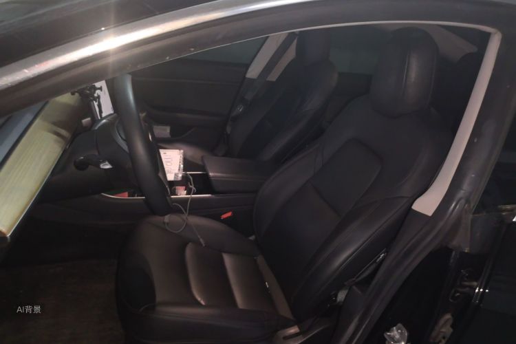 Tesla Model 3 2020 car image #17