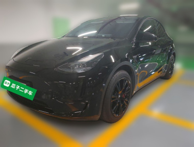 Tesla Model Y 2023 Tesla Model Y 2023 car image