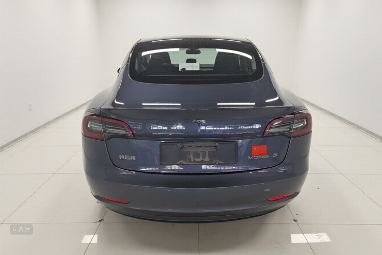 Tesla Model 3 2021 car image #6