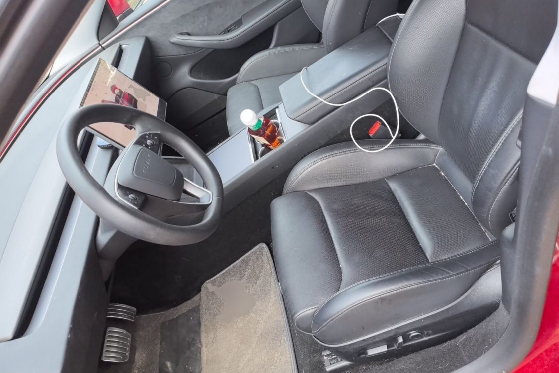 Tesla Model 3 2024 immagine di auto #18