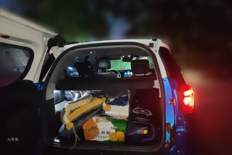 BYD Yuan New Energy 2019 imagen de coche #21