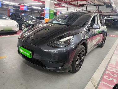 Tesla Model Y 2024 Tesla Model Y 2024 car image