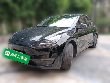 Tesla Model Y 2021 Tesla Model Y 2021 car image