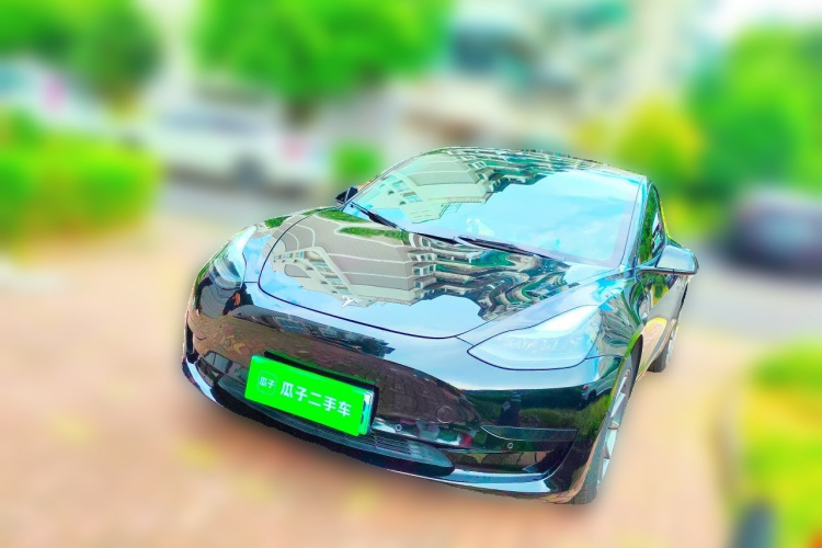 Tesla Model 3 2021 car image #2