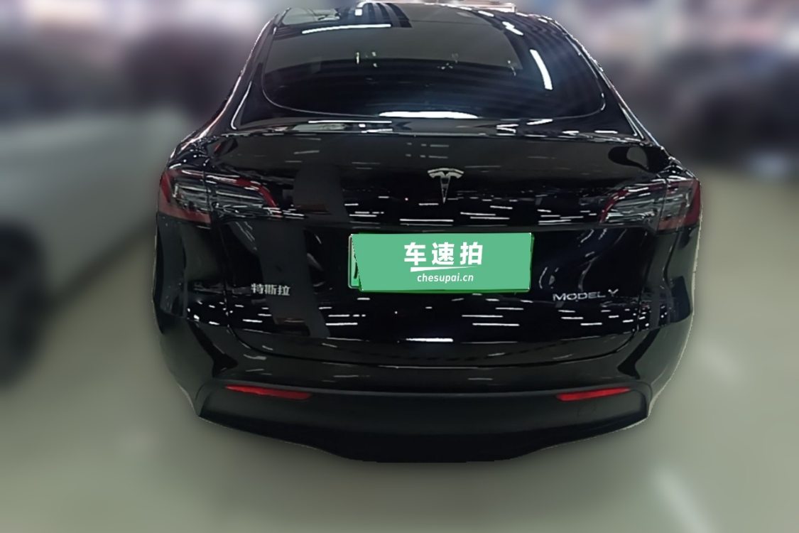 Tesla Model Y 2024 car image #6
