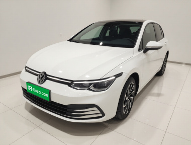 Volkswagen Golf 2023 汽车图片 