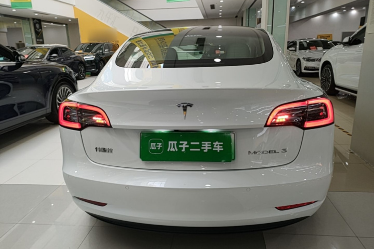 Tesla Model 3 2023 car image #6