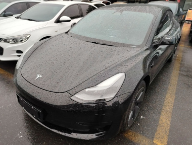 Tesla Model 3 2021 car image 
