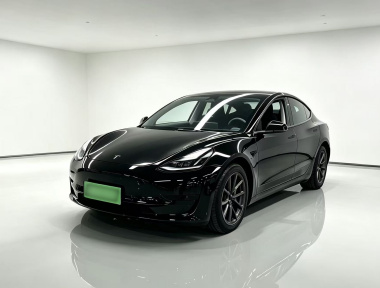 Tesla Model 3 2022 Tesla Model 3 2022 car image