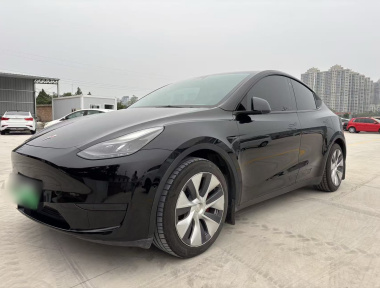 Tesla Model Y 2022 Tesla Model Y 2022 car image