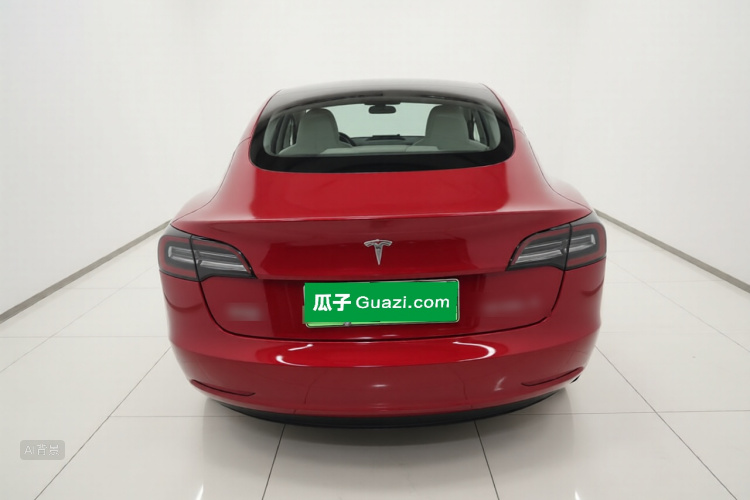 Tesla Model 3 2020 car image #6