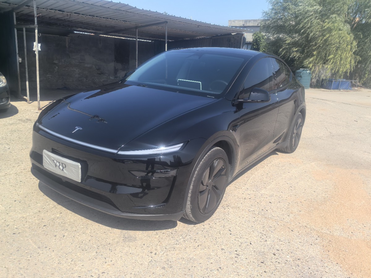 Tesla Model Y 2025 Tesla Model Y 2025 car image