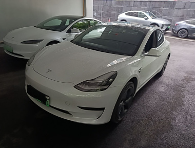 Tesla Model 3 2020 immagine di auto 
