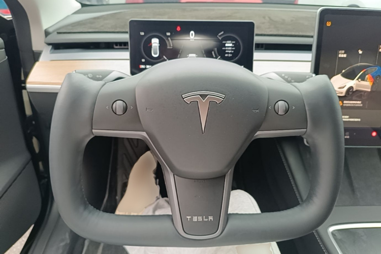 Tesla Model 3 2023 car image #11