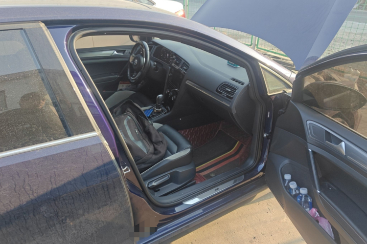 Volkswagen Golf 2019 #25 Volkswagen Golf 2019 car image #25