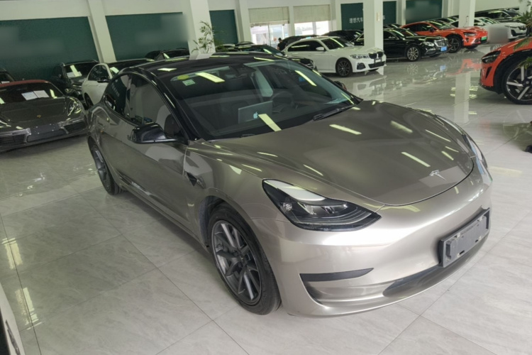 Tesla Model 3 2021 #4 Tesla Model 3 2021 car image #4