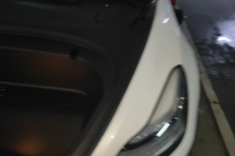 Tesla Model 3 2020 #25 Tesla Model 3 2020 car image #25
