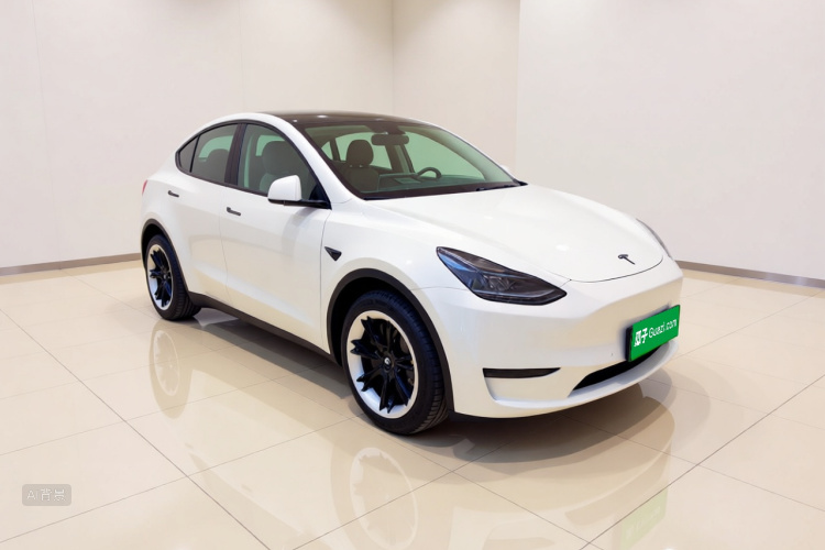 Tesla Model Y 2022 car image #4