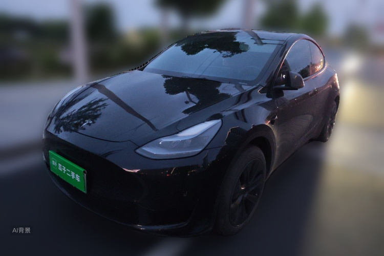 Tesla Model Y 2023 #2 Tesla Model Y 2023 car image #2