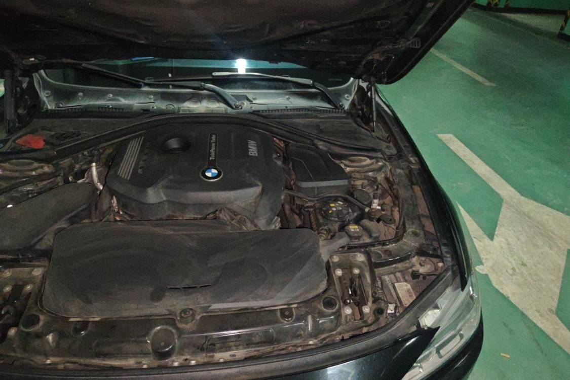 BMW 3 Series 2017 car image #12