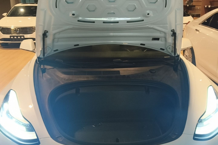 Tesla Model 3 2020 #20 Tesla Model 3 2020 car image #20