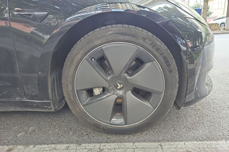 Tesla Model 3 2021 immagine di auto #6