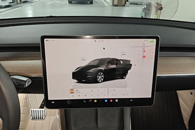 Tesla Model Y 2022 car image #13