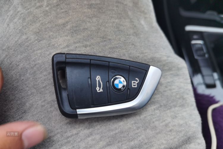 BMW X1 2019 car image #10