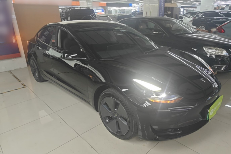 Tesla Model 3 2022 immagine di auto #4