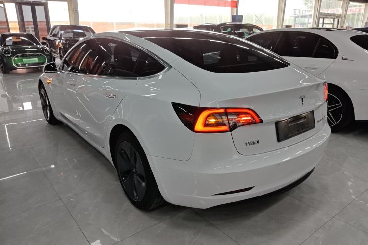 Tesla Model 3 2020 #5 Tesla Model 3 2020 car image #5