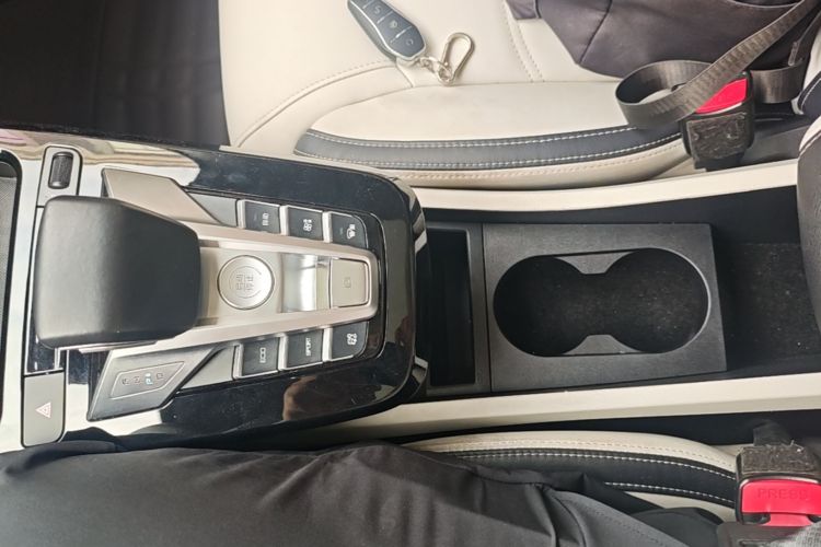 BYD Yuan Pro 2022 #14 BYD Yuan Pro 2022 immagine di auto #14