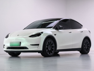 Tesla Model Y 2023 Tesla Model Y 2023 car image