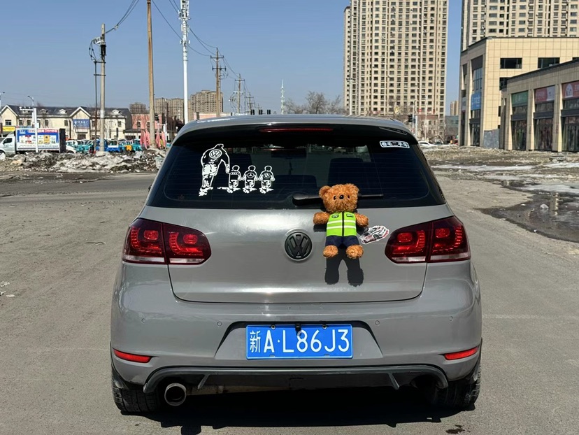 大众 高尔夫GTI 2010 汽车图片 #8